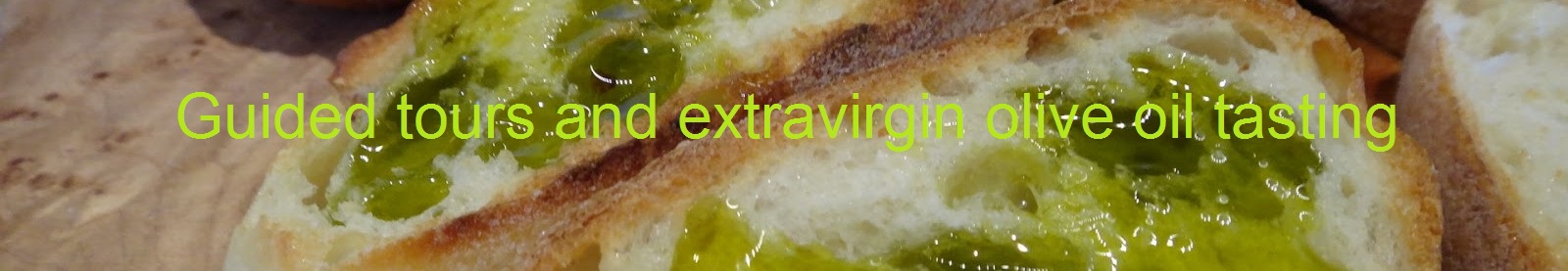 Guided tours and extravirgin olive oil tasting